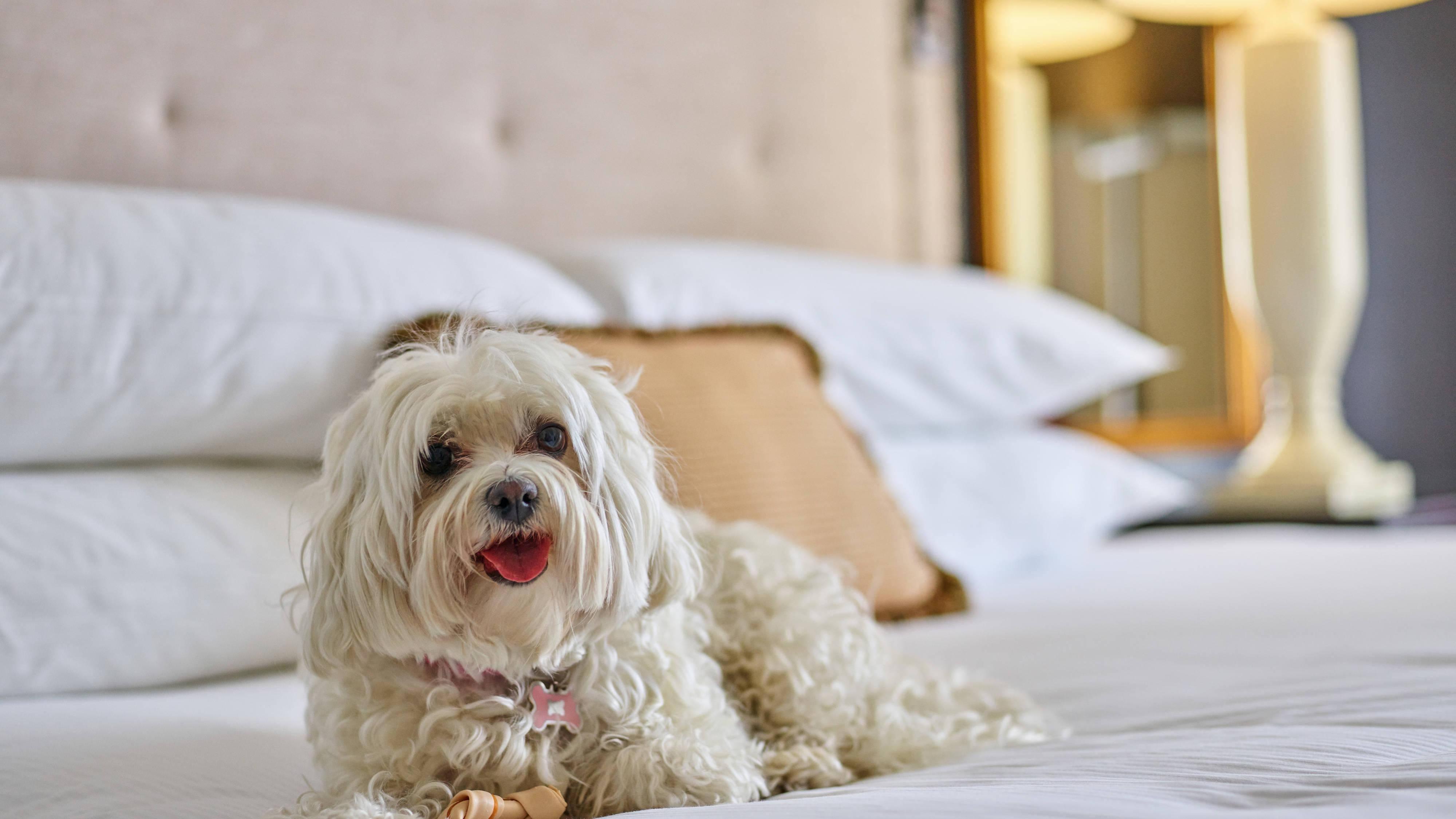 The Brown Palace And Spa, Autograph Collection Hotel DEN